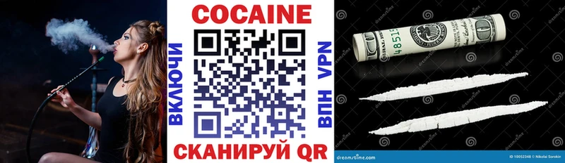 COCAIN Эквадор Богданович