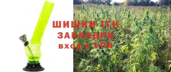 гашик Балахна