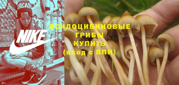 герыч Баксан