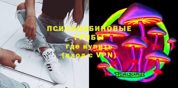 гашик Балахна